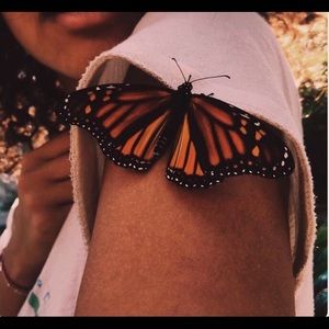 Meet your Posher, Kiara